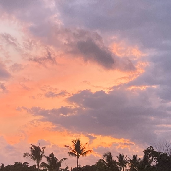 Meet your Posher, Shirl - Picture 10 of 12